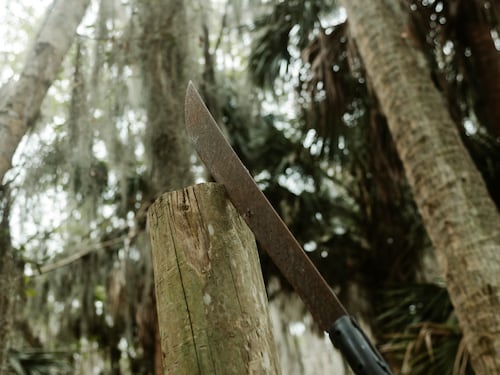 Compagno Machete