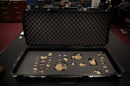 I resti dell'Homo Naledi, nuova specie umana 2