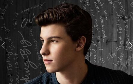 Shawn Mendes 8