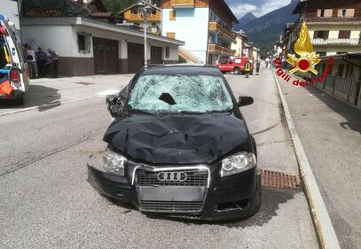 Famiglia travolta da un'auto a Santo Stefano di Cadore: 3 morti 10