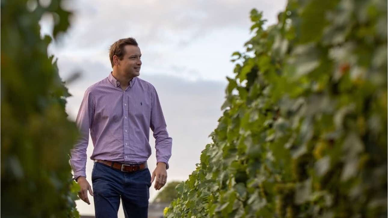 Barons de Rothschild, la nobiltà dello Champagne
