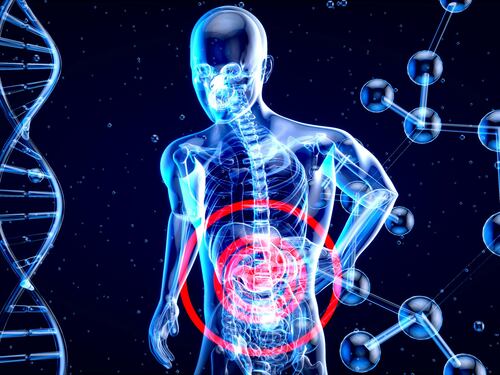14 segnali dell'intestino da non sottovalutare