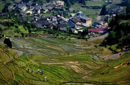 Lo spettacolo dei campi terrazzati in Cina 12