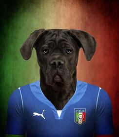 Brasile 2014, delle squadre... da cani 1