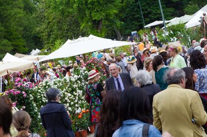 Orticola 2013, la mostra botanica 2