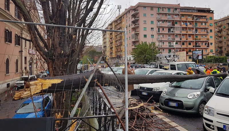 albero caduto a Roma