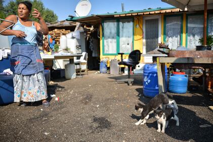 Il Parco Sud trasformato dai rom in una discarica 10
