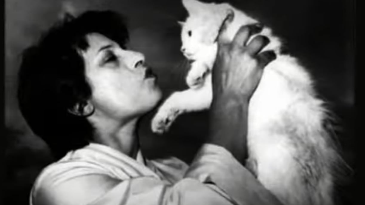 Anna Magnani, la più grande "gattara" di Roma