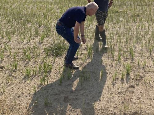 Scorte finite e zero neve ora siamo agli sgoccioli: "Acqua fino al 25 luglio"