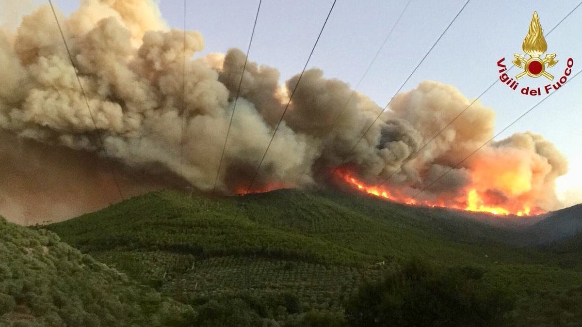 Rogo devastò Monte Serra: il presunto piromane è volontario dell'antincendio