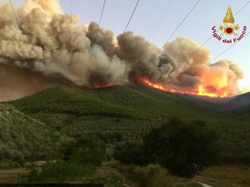 Rogo devastò Monte Serra: il presunto piromane è volontario dell'antincendio