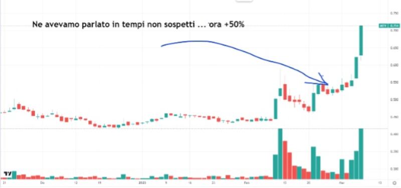 Tomasini 1