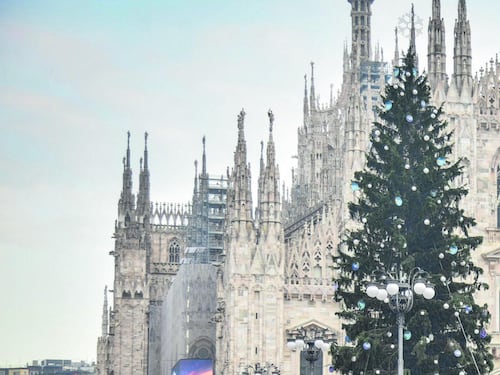 Trenta gli alberi di Natale con sponsor. E l’abete in Duomo s’accende sabato