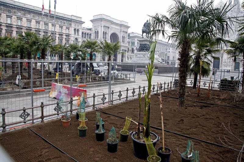 I banani arrivano in piazza Duomo 17