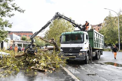 Maltempo Roma, alberi caduti dopo il temporale di ieri 5