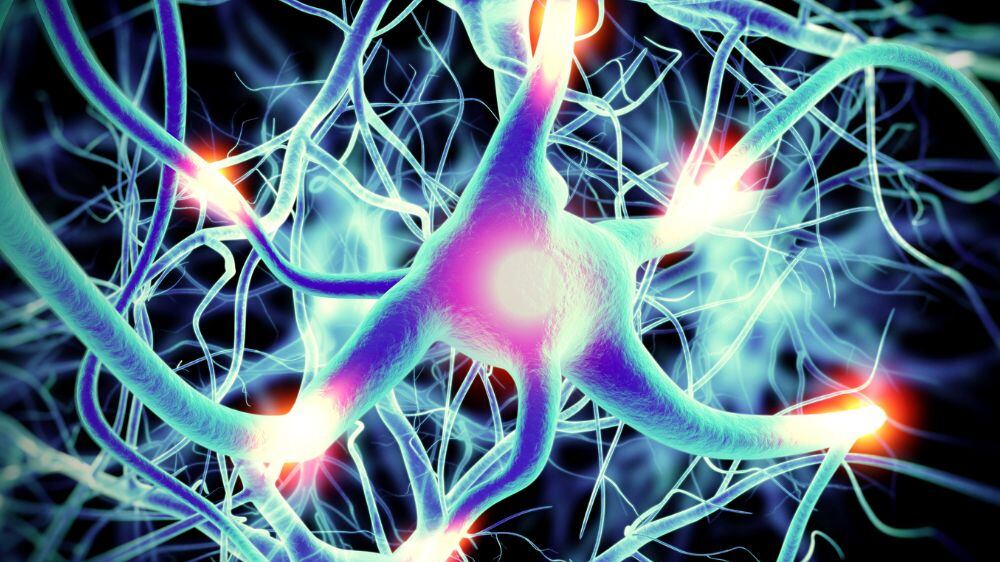 Riconoscere e valutare il dolore neuropatico. Una sfida medico-legale