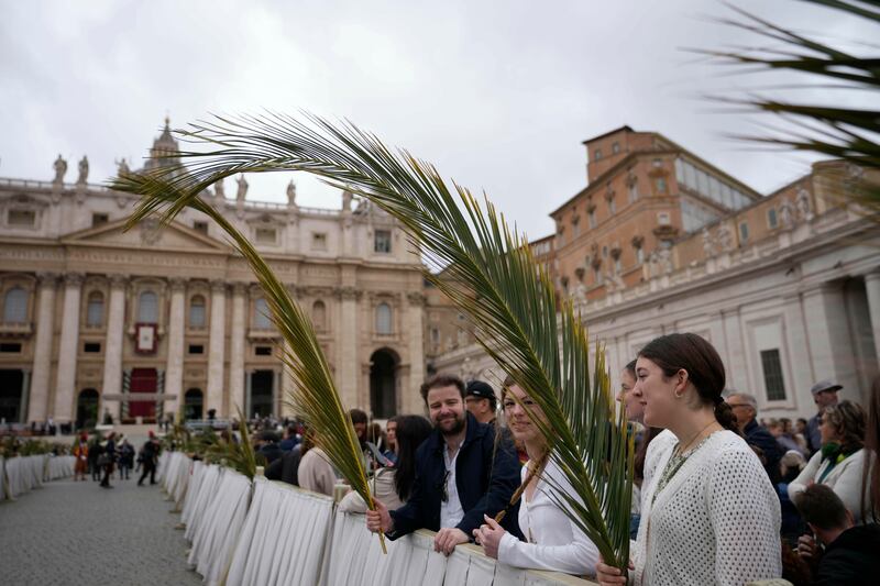 La Domenica delle Palme in Vaticano 10