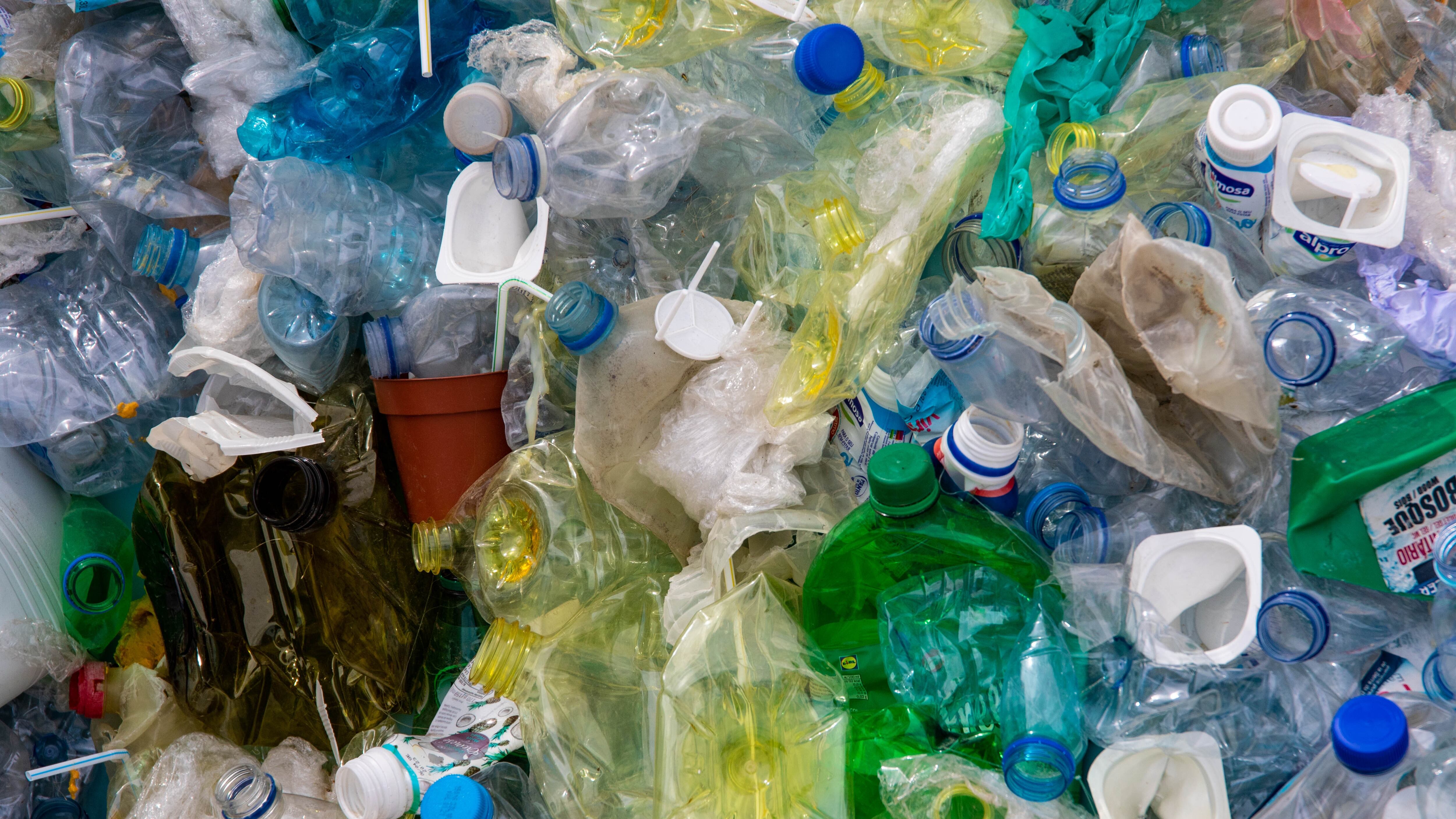 La plastica e i modelli di civiltà