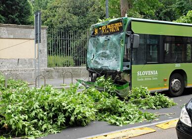 Milano, albero cade sull'autobus 7
