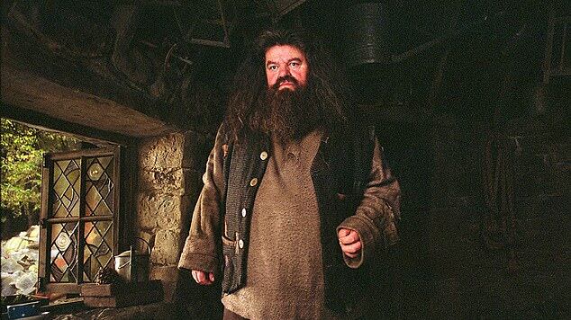 L'Hagrid di Harry Potter costretto su una sedia a rotelle