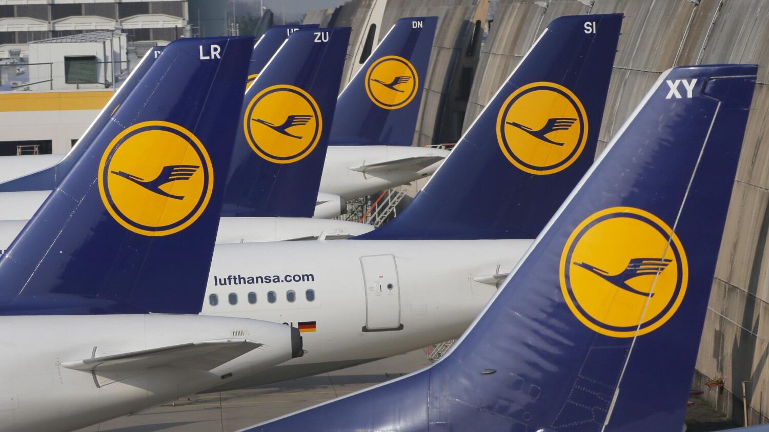 Uccelli risucchiati nel motore, Venezia ferma volo della Lufthansa