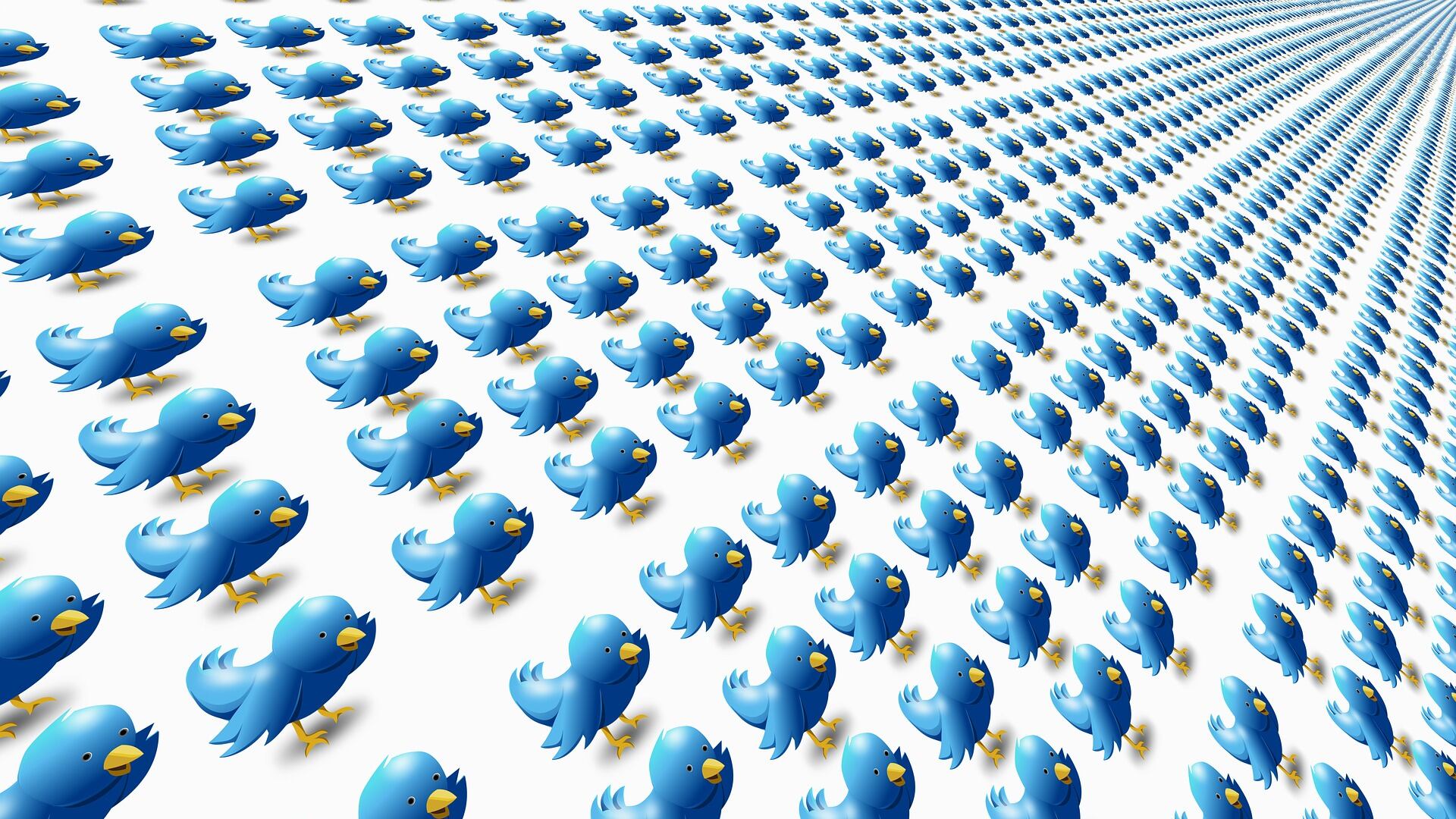 Twitter, torna la spunta blu (a pagamento): cosa cambia con il nuovo abbonamento