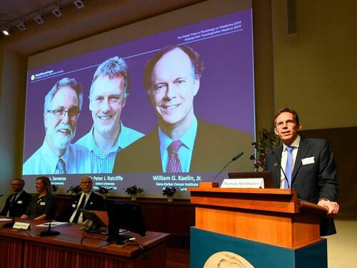 I Nobel per la medicina: l'ossigeno per curare anemia e cancro