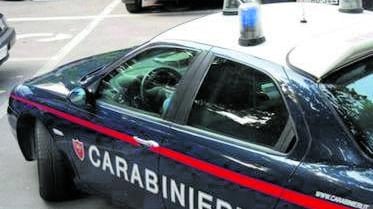 Esplosivi nel box: una "marmotta" carica e 3,5 kg di polvere pirica
