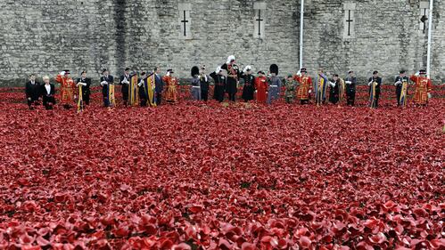 Torre di Londra, il campo di papaveri per l'"Armistice Day" 11