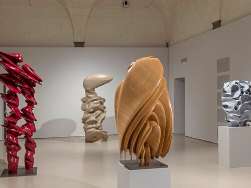 Transfer, l'inedito progetto di Tony Cragg in mostra a Firenze