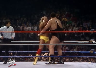 Addio ad Hulk Hogan 11