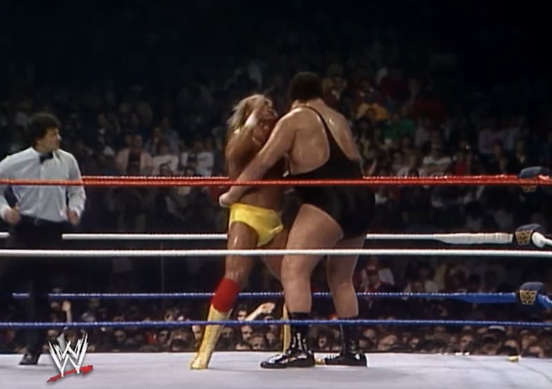 Addio ad Hulk Hogan 11