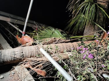 Crolla parete rocciosa su vecchia Aurelia, paura a Ventimiglia 1