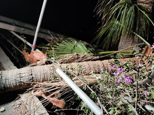 Crolla parete rocciosa su vecchia Aurelia, paura a Ventimiglia