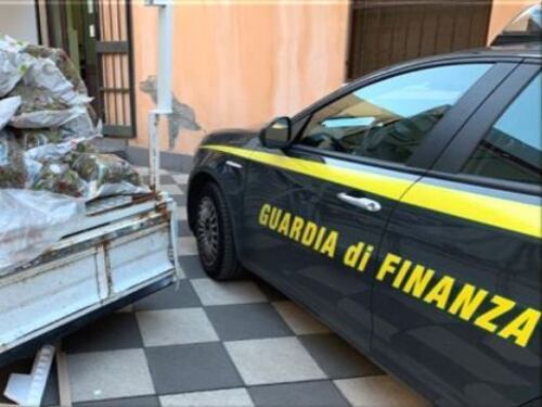 Marijuana pregiata dentro a un congelatore: maxi-sequestro delle fiamme gialle