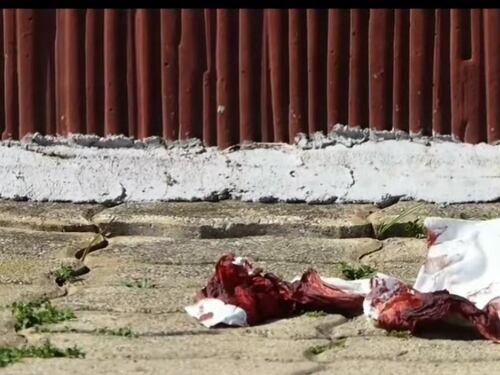Gela, le martellate in testa al compagno, poi l'intervento del prof che ha evitato la tragedia
