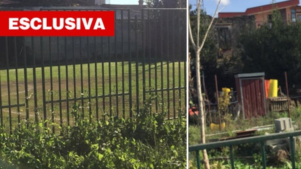 I fan di Luigino ai giornalisti: "È solo un abuso, andate via"