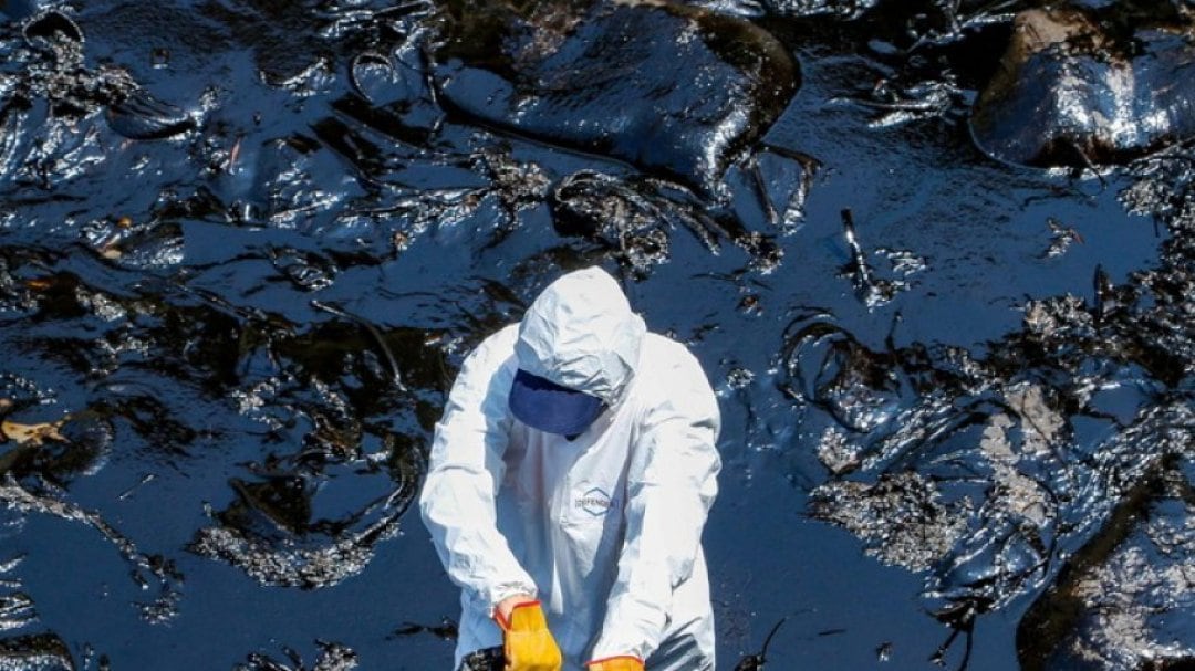L'ultima follia dell'Europa. Nasce il reato di "ecocidio"