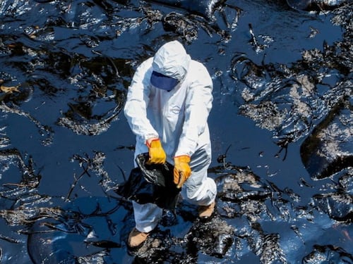 L'ultima follia dell'Europa. Nasce il reato di "ecocidio"