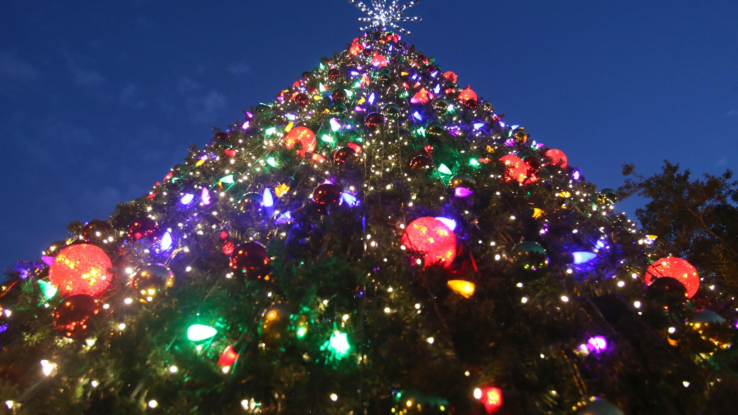 Straniero scala l'albero di Natale a Milano per staccare la croce