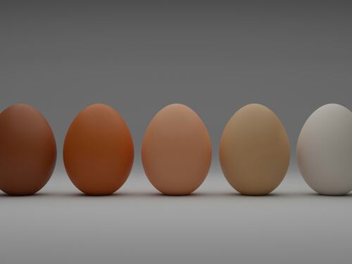 Quali uova sono più salutari