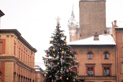 Bologna sotto la neve, le immagini 5