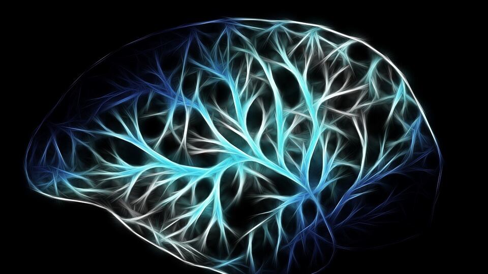 Sclerosi multipla, i veri vandali del cervello sono gli astrociti