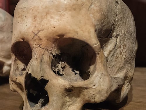 Forse è di Plinio il Vecchio il cranio scoperto sulla spiaggia di Ercolano