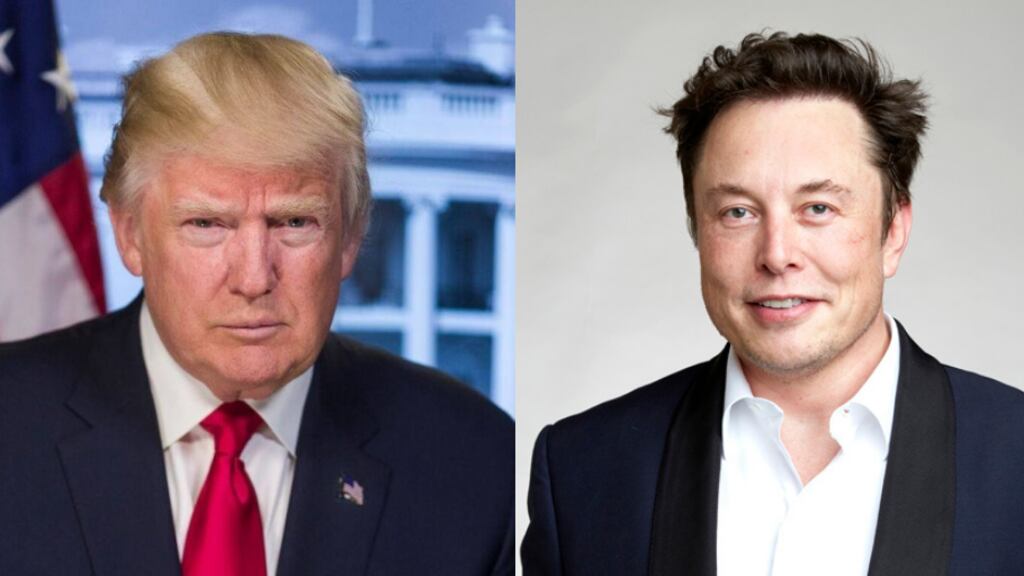 Musk: "Trump è troppo vecchio, attacchi il cappello al chiodo"