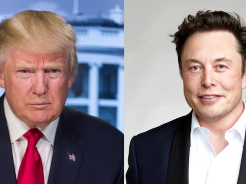 Musk: "Trump è troppo vecchio, attacchi il cappello al chiodo"