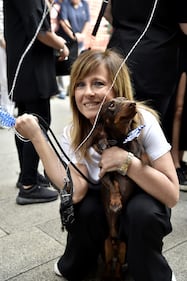 La "Sausage Walk" a Milano: sfilano i bassotti 12