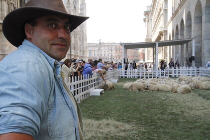 Piazza del Duomo invasa dalle pecore 13
