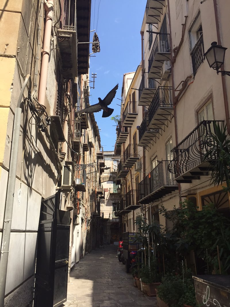 Palermo e la Vucciria 4
