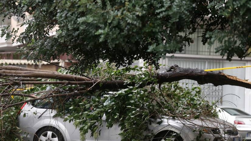 Quando la Raggi bacchettava Marino per il crollo di un albero